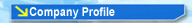 Company Profile